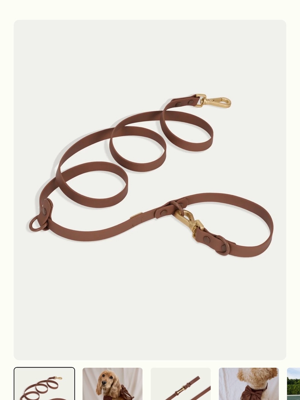 Furry Muse Cocoa Dog Leash and collar with Gold
